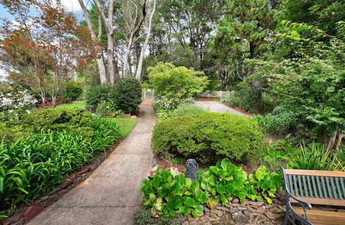 Wentworth Falls Cottage | A Garden Retreat, Dog Friendly.