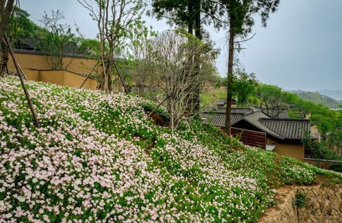 Moganshan Hotel | ALOR VALLEY HUZHOU