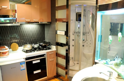 Pudong Apartment | AMAZING APARTMENT SHANGHAI PUDONG LINE4 LUJAZIUI