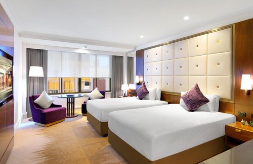 Sydney Central Business District Hotel | Amora Hotel Jamison Sydney