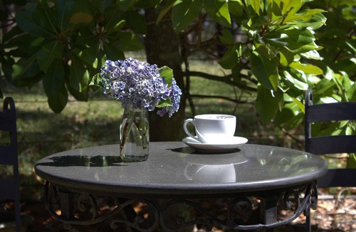 Blueys Beach House | Angophora @ Blueys Beach – Secluded Luxury