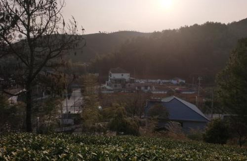 Anji House | Anji Xiangchaju Country House