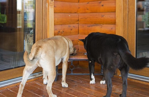 Bonnie Doon House | Appalachian High Country Retreat