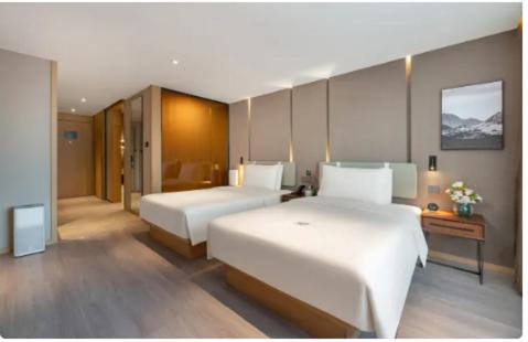 Urumqi City Centre Hotel | Atour Hotel Urumqi Government Nanhu Citizen Square Branch