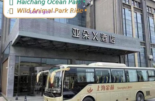 Pudong Hotel | Atour X Hotel Shanghai International Tourism and Resort Safari Park