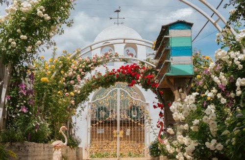 Baisha Old Town Hotel | Baisha Flamingo Hotel
