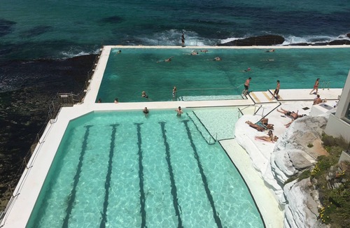 North Bondi Apartment | Beautifully appointed, white beach pad 5 minutes to iconic Bondi Beach
