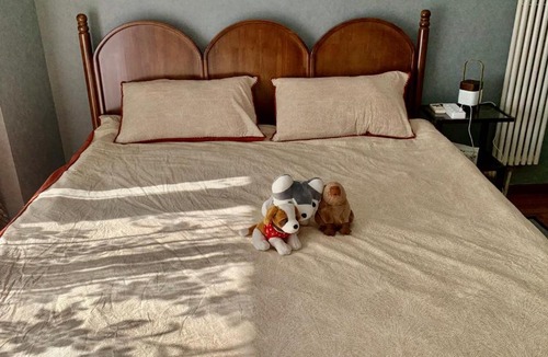 Shuangjing Apartment | Beijing CBD Area Family Apartment