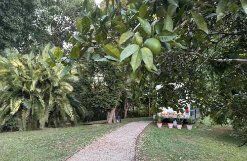 Bellingen House | Bello BigRig Luxury Riverfront Escape Close to Town