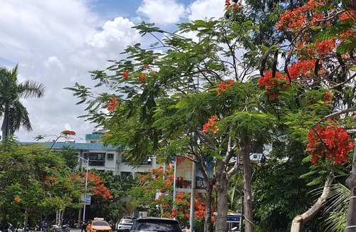 Sanya Apartment | Best location Apartment in Sanya! Forests and ocean around!