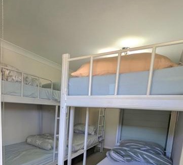 Ashcroft Hostel | Bluetongue Hideout