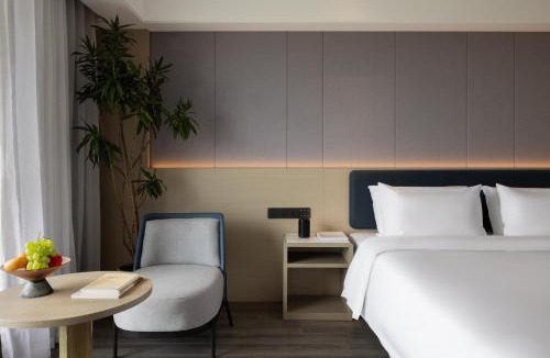 Zhengzhou Hotel | BlueVisual Hotel Zhengzhou Airport