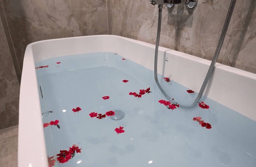 Sualkuchi Hotel | Briddhishree Palace
