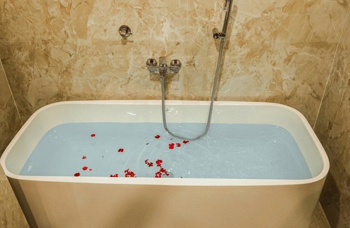 Sualkuchi Hotel | Briddhishree Palace