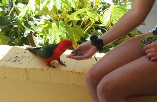 Bundanoon Bed & Breakfast | Bundanoon Lodge