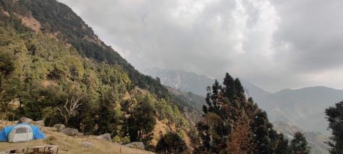 Dharamshala Other | Cafe Himalayan Musaafir & Campsite Kareri