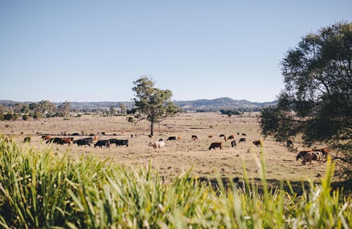 Cawdor Hotel | Camden Valley Inn