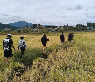 Itanagar Other | Camp Wildnest Adventures Ziro
