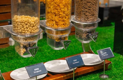 Dongguan Hotel | Castfast Hotel