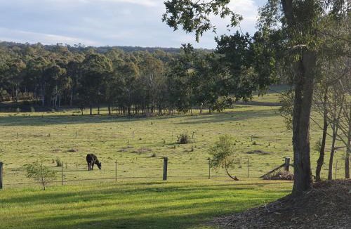 Mowbray Park House | Charolais Cottage