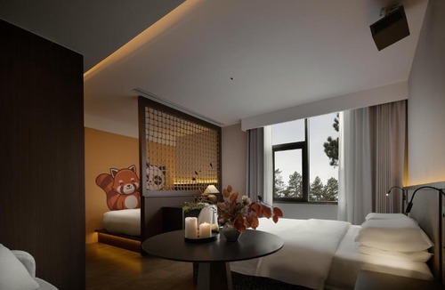 Chengdu City Centre Hotel | Chengdu Xilia Hotel Chunxi Road Taikoo Li