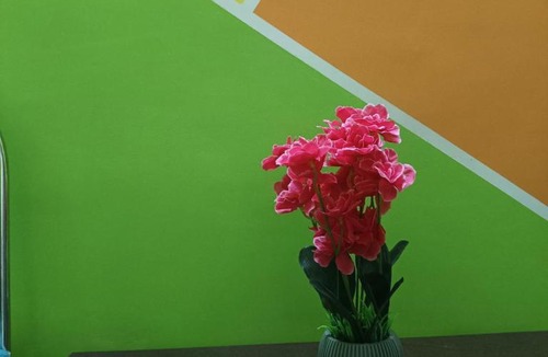 Dibrugarh Apartment | City leaf homestay