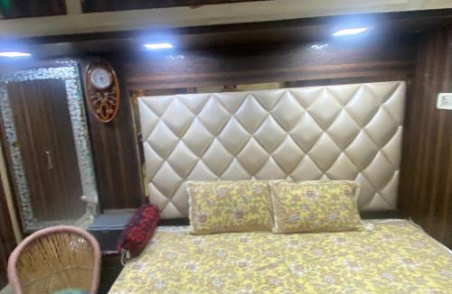 Agra Hotel | City palace