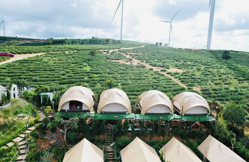 Da Lat RV Rental | Cloud9 & Cloud View Glamping