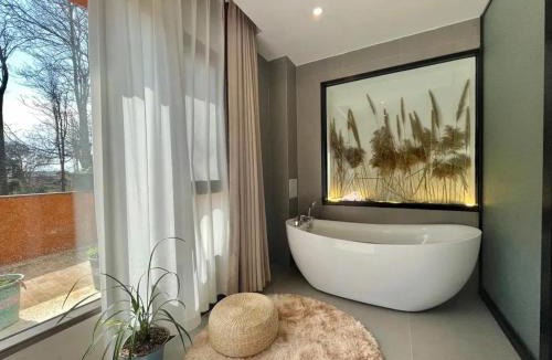 Baisha Old Town Apartment | Dawnscape snowmountain viewing Courtyard - Baisha old town