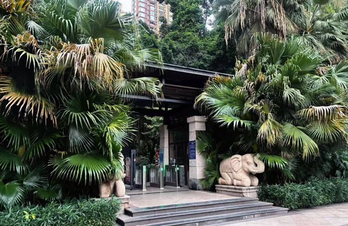 Jiang Bei Apartment | Deer's Return - Riverside Summer Homestay - Beibin Road