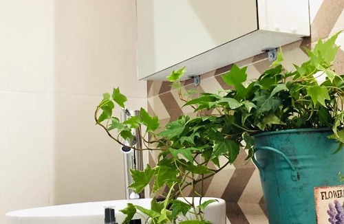 Hai Chau Hostel | Delistay