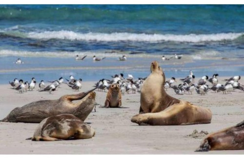 McDonald Cabin | Discovery Parks - Kangaroo Island