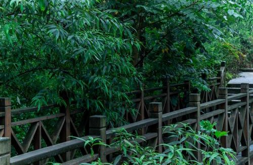 Dujiangyan Hotel | Dujiangyan Lucky Wild Mountain Forest Luxury Homestay