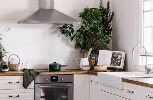 Molyullah Other | Dunmore Farm