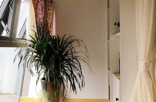 Dongshan House | Emma's home