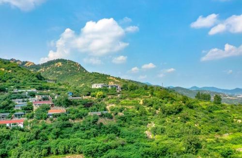 Tai'an House | Floral Lux Hotel Tai'an Lile Hexiyuan Homestay