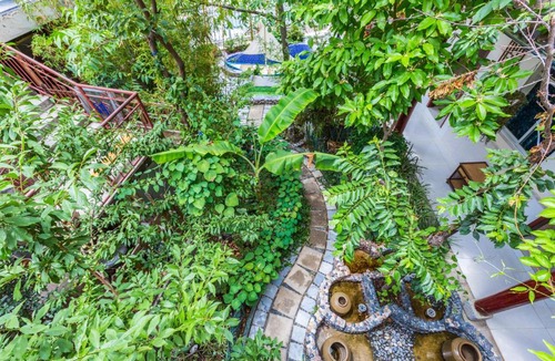 Dali Ancient Town House | Flowers & Leaves Holiday Hotel