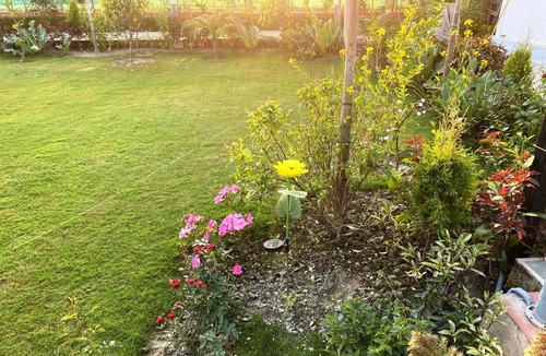Noida Villa | GoBravo 72 - 3BHK Farm with Pool & Garden Sec150 Noida