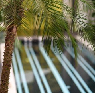 Jinniu Hotel | Grey Parrot Resort Hotel
