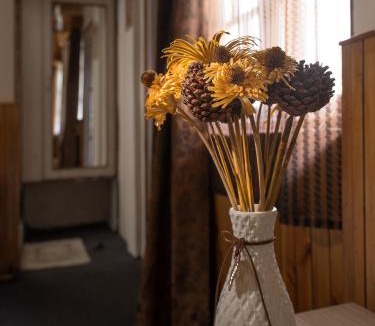 Shillong Apartment | Halaing Guesthouse