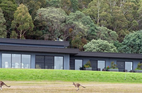 Woodend Apartment | Hanging Rock Views, Queen Suite in classic bush setting