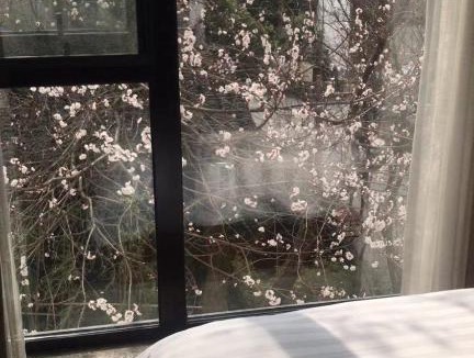 Xihu House | Hangzhou West Lake Lake YI Tong Intelligent Homestay