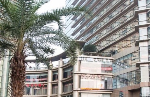 Downtown Hangzhou Apartment | Hangzhou Yilin Apartment
