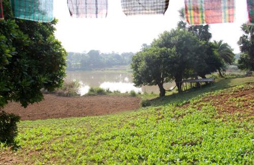Savar Other | Hijoltola Camping & Resort