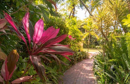 Cairns Central Business District Hotel | Hilton Cairns