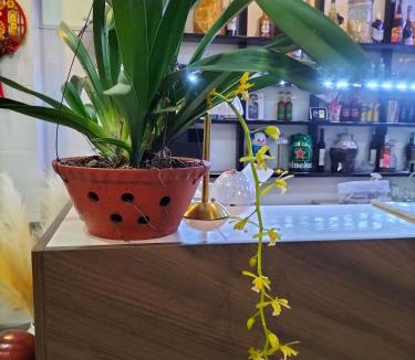 Dong Hoi Hotel | HOA MAI Plus Hostel