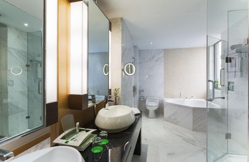 Fuzimiao Area Hotel | Holiday Inn Nanjing Aqua City by IHG