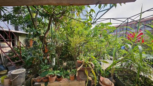 Dhaka House | Home Rent 3