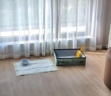 Xingcheng Hotel | Home2 Suite by Hilton Xingcheng