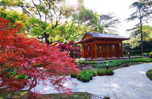 Changning Hotel | Hong Qiao State Guest House